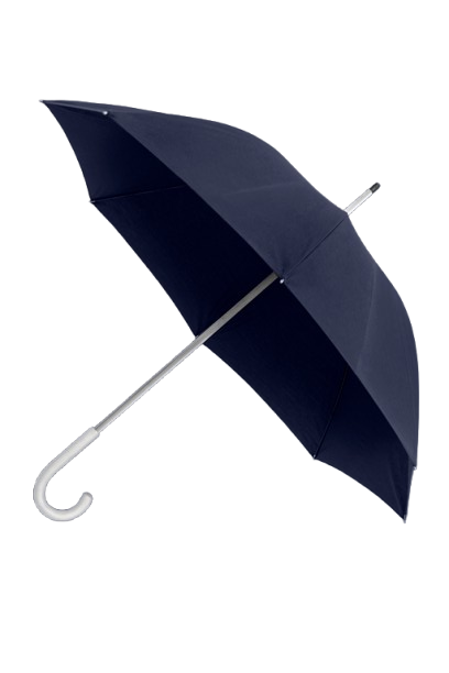 umbrella e1766104665928